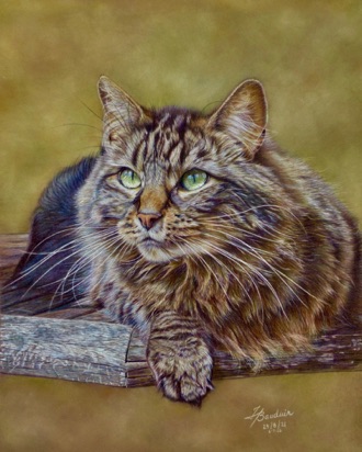 Griffin - 63 hours
Brown Pastelmat Board
15" x 12.5"
Ref: My own photo
